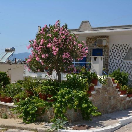 Traditional Summer House In Marmari Marmari  المظهر الخارجي الصورة